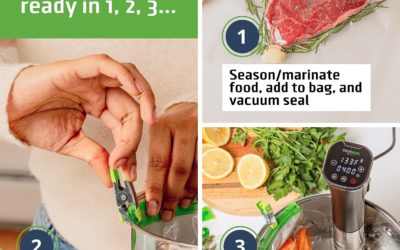 SOUSVIDE ART Precision Cooker Kit (Deluxe Cooker Kit) – Sous Vide Machine Immersion Cookers Circulator Review